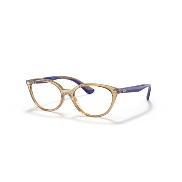 RayBan Accessories Ray Ban Rectangular Eyeglasses Ry612390548